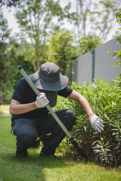Gardener