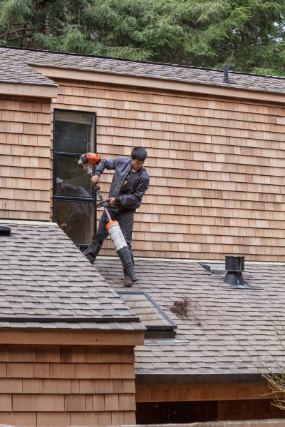 Man clearing roof